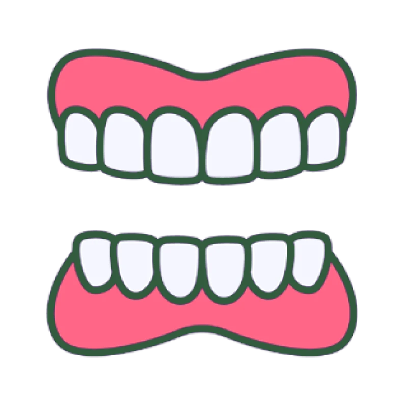 Dentadura